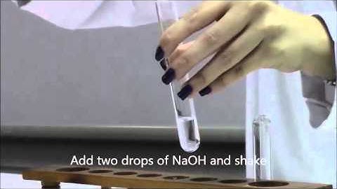CHEMISTRY: Cation Test for Zn2+ (using NaOH and NH4OH)