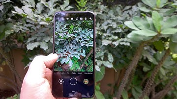 Nokia 8 1 Camera auto scene detection feature demo
