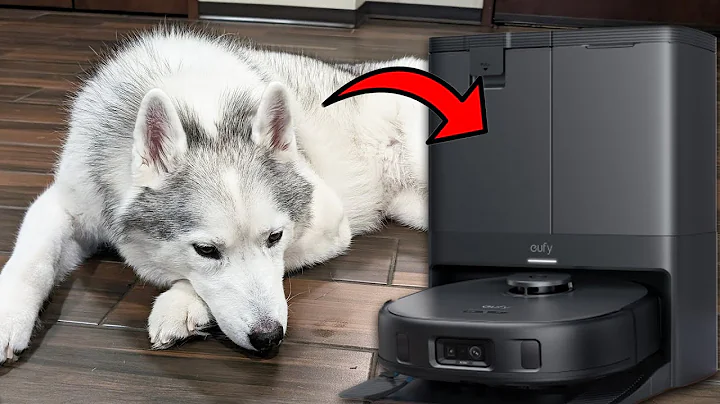 Is the Eufy X10 The BEST Robot Vacuum For Pets?