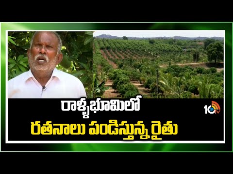 రాళ్ళభూమిలో రతనాలు పండిస్తున్న రైతు | farmer Earn Profits cultivating in rocky soil | Matti Manishi - 10TVNEWSTELUGU