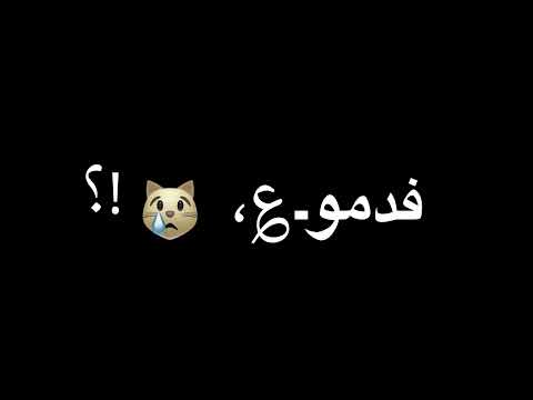 حلات واتس ياقطر الفرح حمو الطيخا