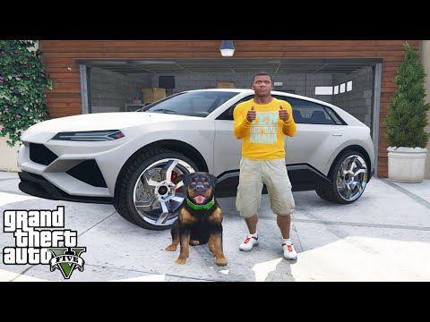 Franklin And Chop's Road Trip in GTA 5 (funny)