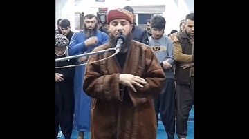 القارئ سامي الكردي... ♥️