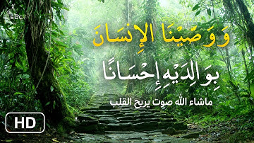 وَوَصَّيْنَا الإِنسَانَ بِوَالِدَيْهِ إِحْسَانًا تلاوة خاشعة عن بر الوالدين صوت يريح القلب