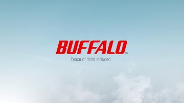 Business Class Value Storage Solution - Terastation 3410DN