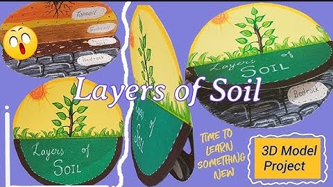 Layers of Soil Project for School || Layers of Soil 3D Model