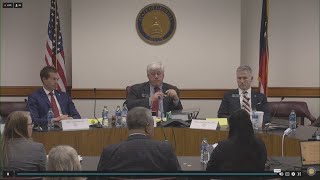 Fani Willis investigation Georgia Senate hearing | Part 3