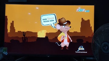 Thuốc Trừ Chuột STORM sản phẩm của BASF CHLB Đức do Hợp Trí phân phối