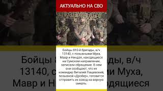 Бойцы 810-й бригады записали обращение, сообщая, что командир  отправляет их на смерть #россия #сво