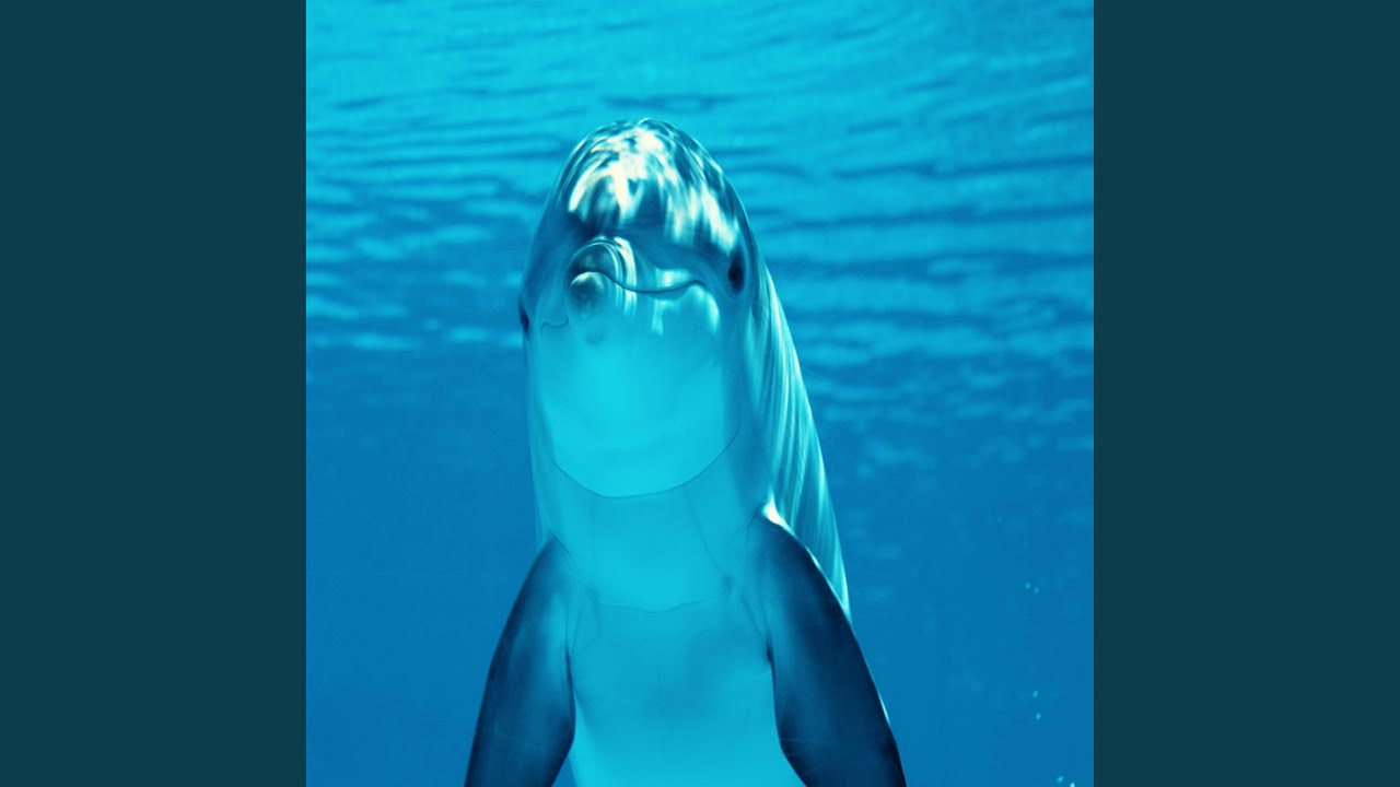 Watch La La La on YouTube Watch La La La on YouTube