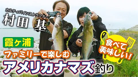 釣りナマズ