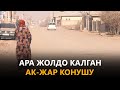 Ара жолдо калган Ак-Жар конушу