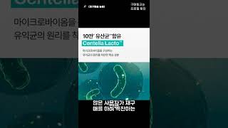 피부톤과 모공 관리, 블러 크림으로 시작하세요