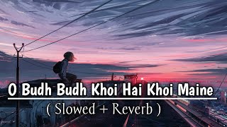 O sudh budh khoyi hai khoyi Maine - (slowed   Reverb) | Tose naina |  Arijit Singh | lofi mix