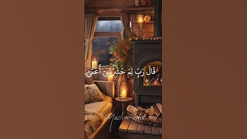 أكتب شيء تؤجر عليه قارئ عمر بن ضياء الدين#subscribe #اكسبلور #القرآن_الكريم #explore