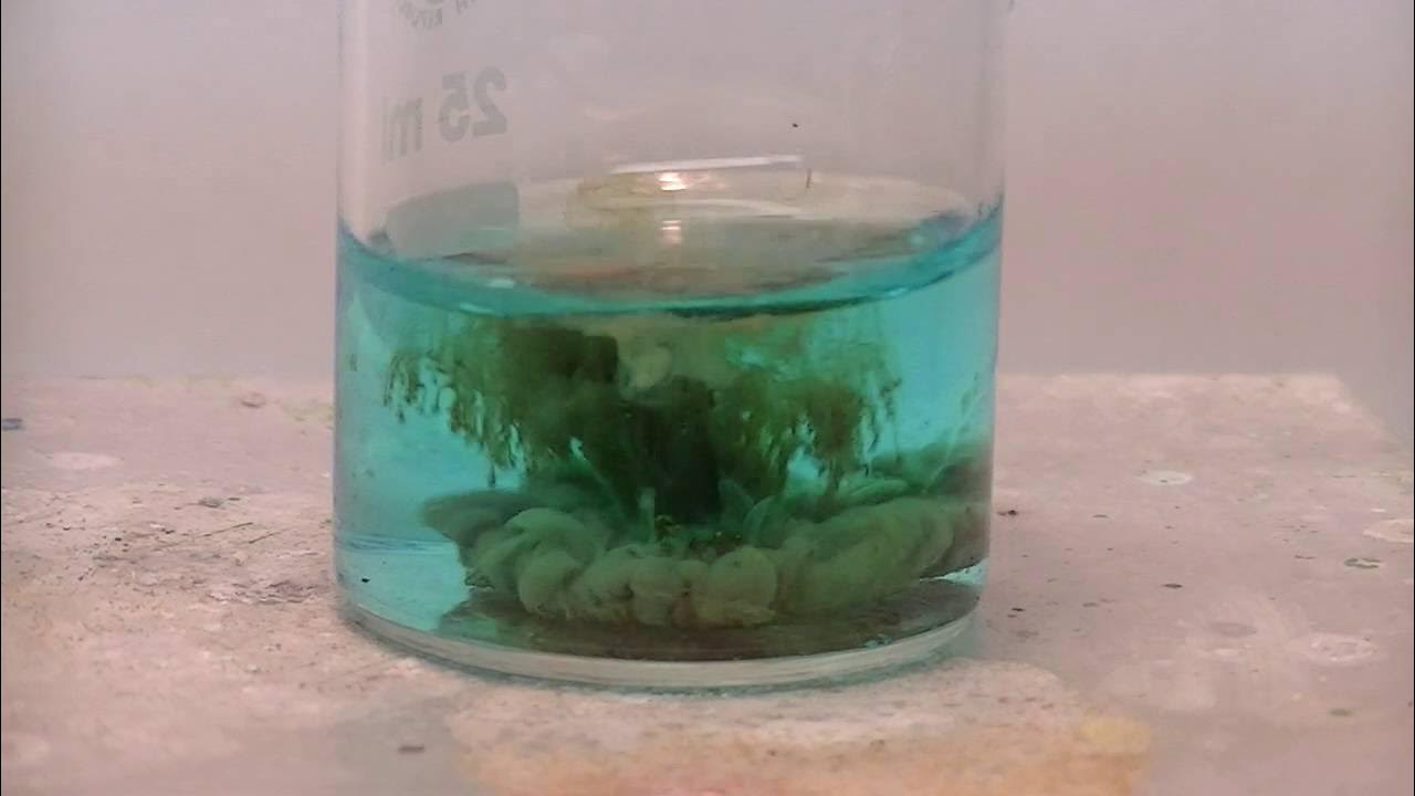 Copper Chemistry Cu(I)Iodide (Redox) YouTube