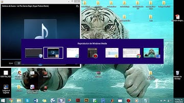 base de datos en Netbeans y phpmyadmin