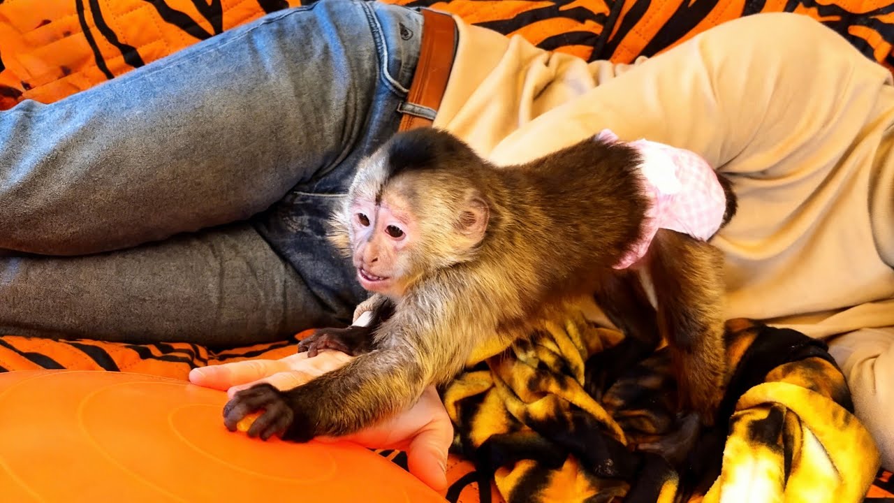 Мы соединили приятное с полезным и Финю ПОТРЕНИРОВАЛИ И НАКОРМИЛИ И ПОДАРКИ ПОДАРИЛИ!