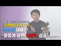 반수경재배 실패하신 분들은 꼭 보세요!! 반수경재배 100% 성공하는 꿀팁!! - '난 알아요' 제 17강