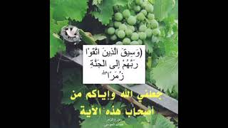 القران الكريم سورة الزمر عبدالله الموسى