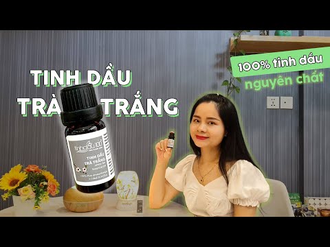 Video: Thông Tin Về Tinh Dầu - Cách Sử Dụng Tinh Dầu Từ Cây Vườn