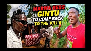  MARWA COUNTING LOSSES AFTER UNCLE OGUTU WIFE LEFT ! CALLS GINTU TO SAVE FAILING FISH EMPIRE !