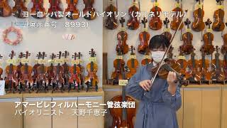 売約済】ヨーロッパ製オールドバイオリン ガルネリモデル（展示番号