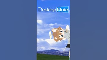 I Modded Myself Into Desktop Mate