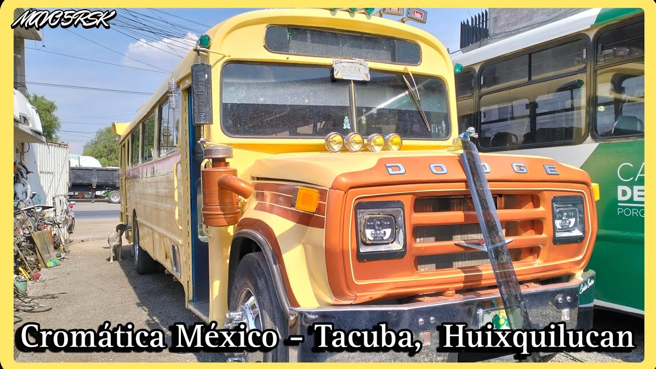 Carrocería Escolar | DODGE CAPRE CONVENCIONAL '83 | Colección de Carlos ...