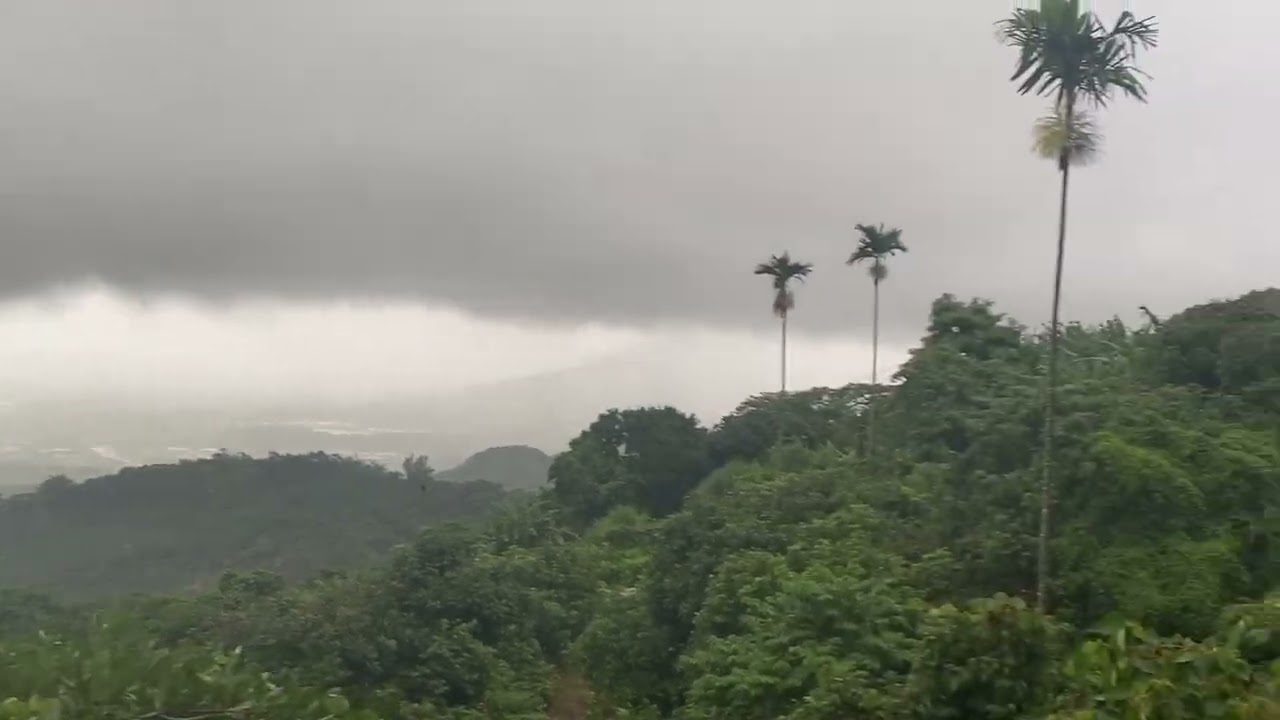 2025/8/13-楊柳颱風來了，我在安全地方進行我的車宿旅行，待雨停繼續前進 縮圖