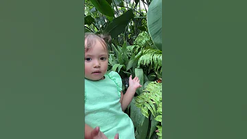 Scared To Touch The Butterfly 