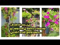 How to make Pvc pipe Plant Tower  decoration/Garden tips and care/Salu Koshy/DIY beautiful garden