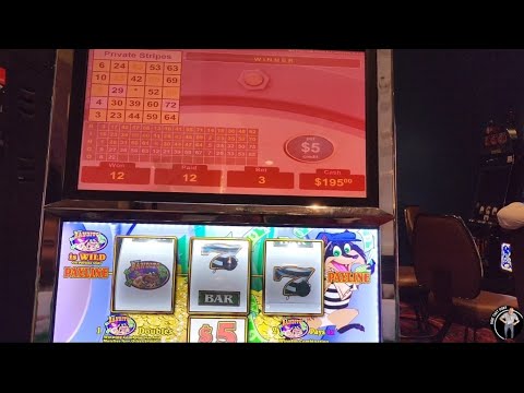 馃挜 KK! Kakaroto! Yes! 馃挜 P谩same la Salsaaa! #poker #lasvegas #casino