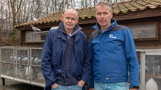 Download Lagu National WHZB/TBOTB/NPO winners 2022: 1st Middle Distance Nominated - Falckenborg-Nijhof, Beltrum MP3 Download Lagu National WHZB/TBOTB/NPO winners 2022: 1st Middle Distance Nominated - Falckenborg-Nijhof, Beltrum MP3