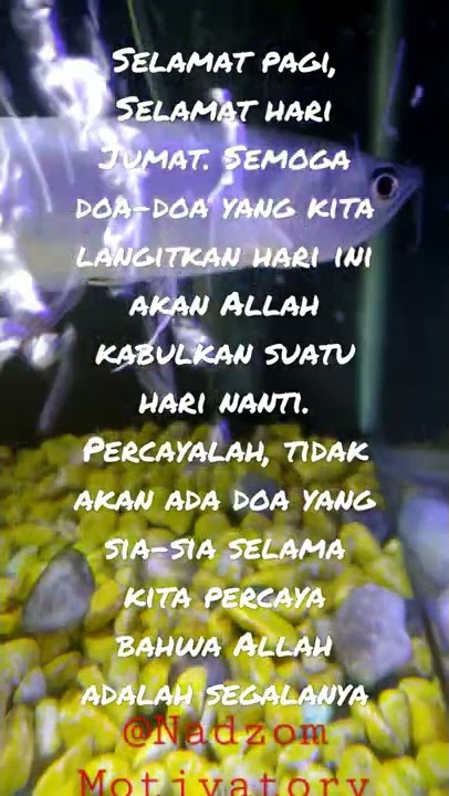 MOTIVASI PAGI , HARI JUMAT .