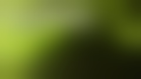 Busta Rhymes & Spliff Star - M.O.P Ante Up Remix  @Paradiso, Amsterdam. July 15 2017.