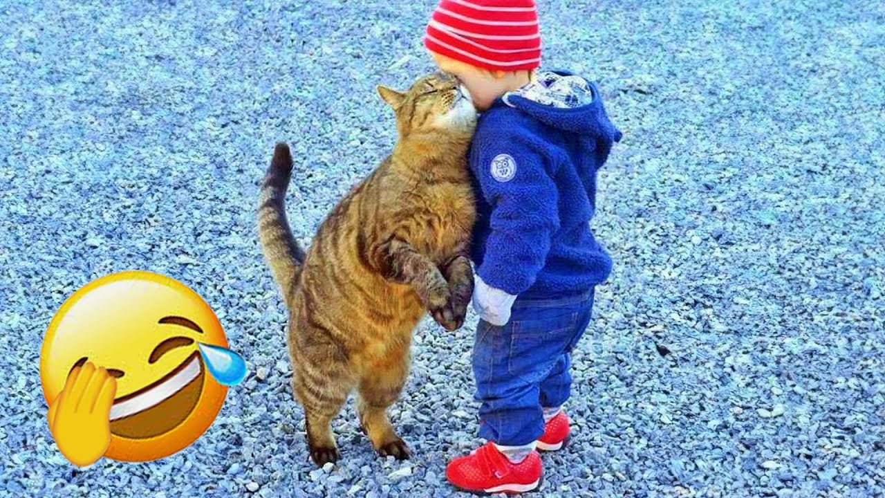 Funniest Cats and Dogs Clip 2025😼🐶Try Not To Laugh😜 🍌 