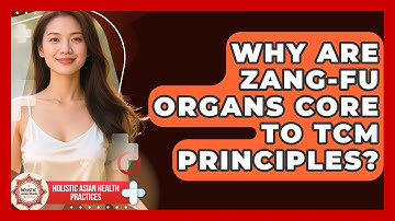 Why Are Zang-Fu Organs Core To TCM Principles? - Holistic Asian Health Practices