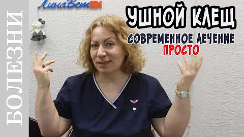 Ушной клещ у кошек. Как лечить в 21 веке?