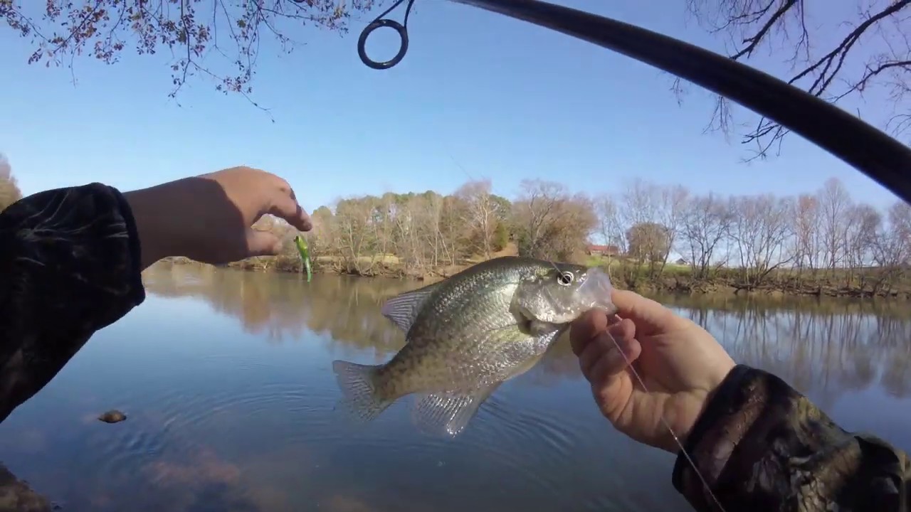 Crappie Mixed Bag Multiple Species YouTube