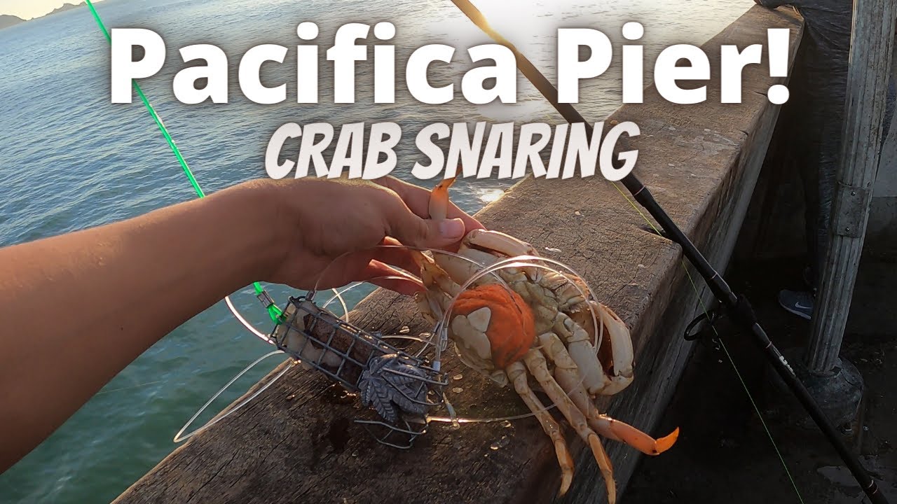 Dungeness Crab Snaring at Pacifica Pier! 