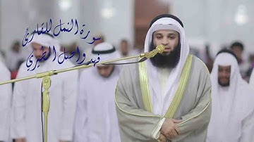 سورة النمل - فهد واصل المطيري 🌹🌹 تلاوة تروي قلبك بصوت يأخذك بعيدا 🌹🌹
