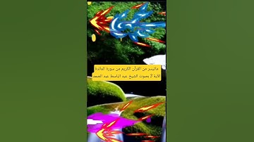 ​🎬 ماتيسر من القرآن الكريم| تلاوة تهز القلوب بصوت الشيخ عبد الباسط عبد الصمد (سورة المائدة - آية 3)​