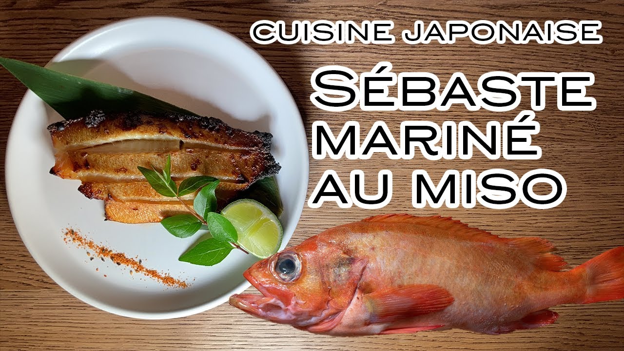 Download 【Découper le poisson】Sébaste mariné au miso, cuisine japonaise