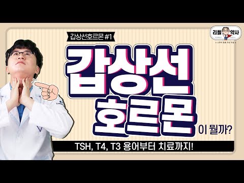 [1편]갑상선호르몬, 항체의 모든 것! 용어부터 치료까지 완벽 정리!! TSH, T3 T4, fT3, fT4