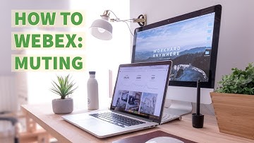 Muting Webex Participants (and upon entry)