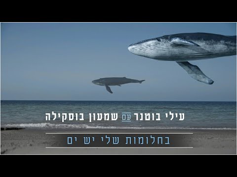 וִידֵאוֹ: מדוע יש לחלומות אינטימיים