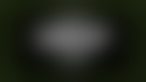 Free clicker Blum. The best software. A bug that hasn