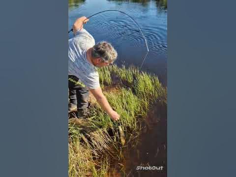 #рыбалка#река#плюсса псковская область - YouTube