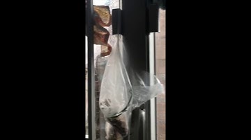 Bamboo Scaffolding Blown Around by Typhoon Mangkhut in Hong Kong